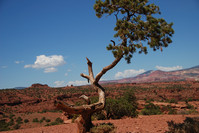 DSC_0065.JPG